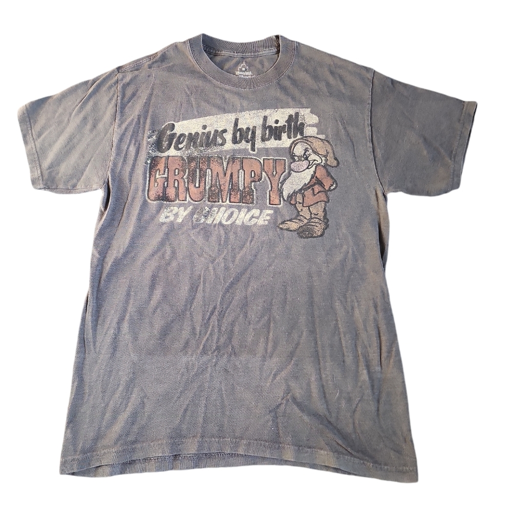 Disneyland Grumpy Shirt
